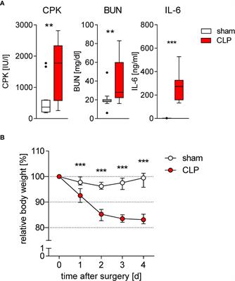 TLR2-induced CD8+ T-cell deactivation shapes dendritic cell differentiation in the bone marrow during sepsis